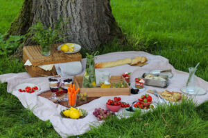 picknick in der wiese