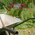 TAFF Garten Verschönerung