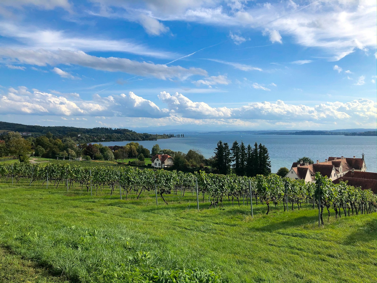 Spaziergang direkt am Bodensee Ufer