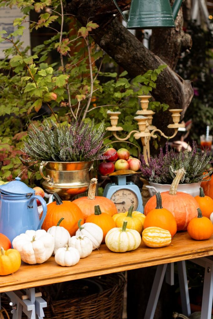 Autumn scene with assorted pumpkins, apples, and rustic decor on a wooden table outdoors.