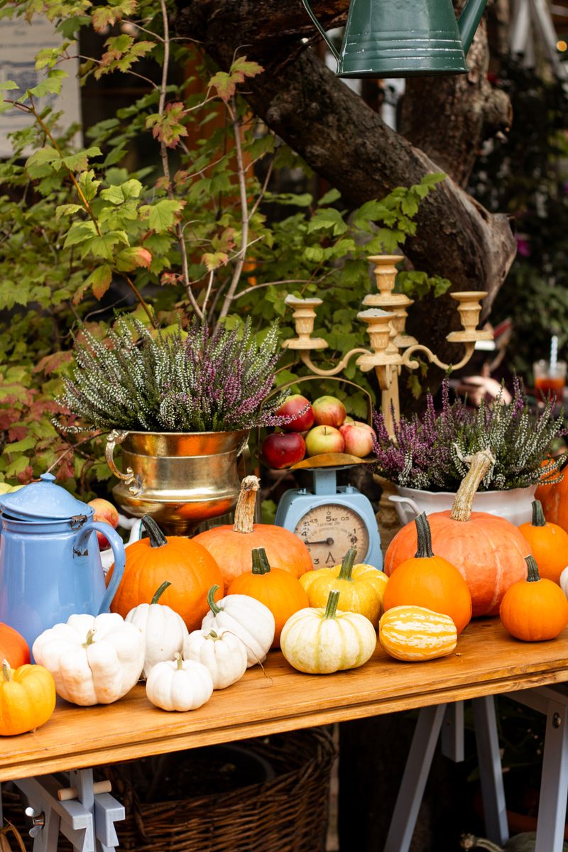 Herbstfest im Taff