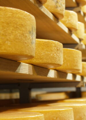 Raclette in the Cheese Cave