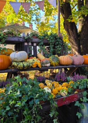 Vibrant autumn market scene featuring assorted pumpkins and gourds under festive bunting.
