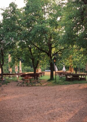 a group of picnic tables sitting under a tree