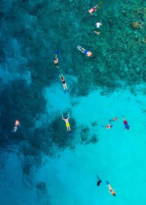 aerial view photography of people in body of water