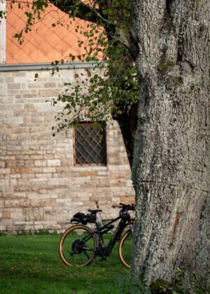 a bicycle parked next to a tree